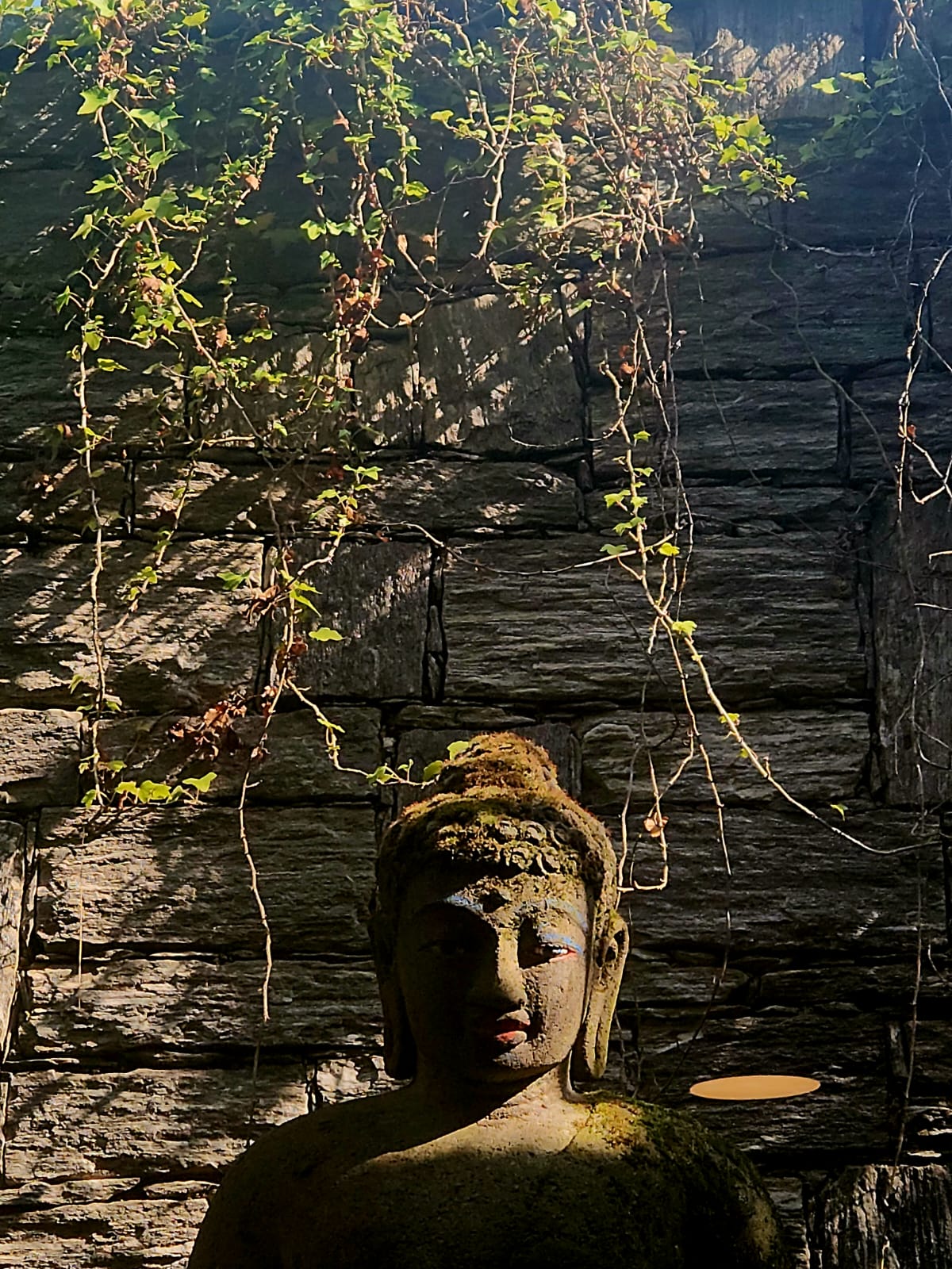 Mindfulness illustration