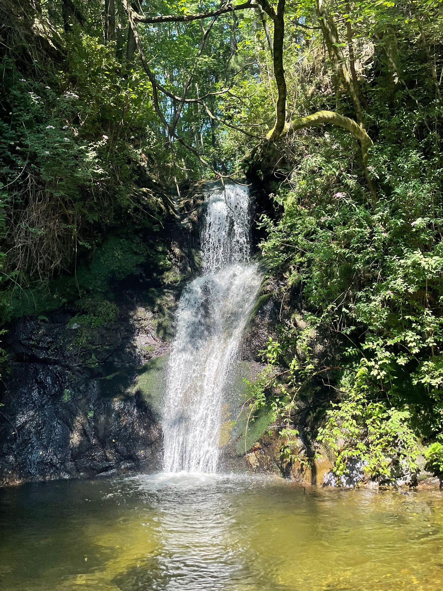 Waterfall picture