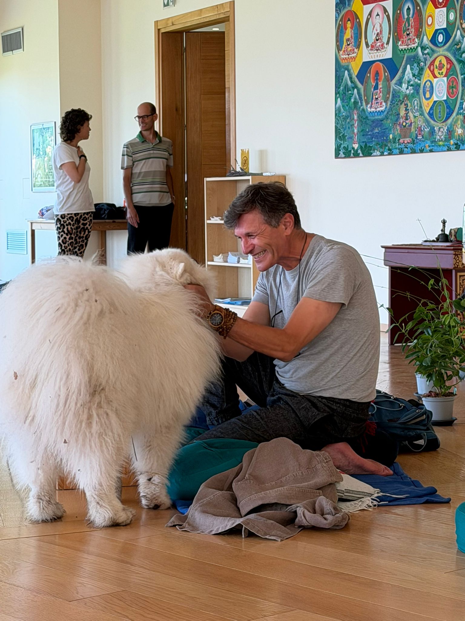 Happy dog petting picture